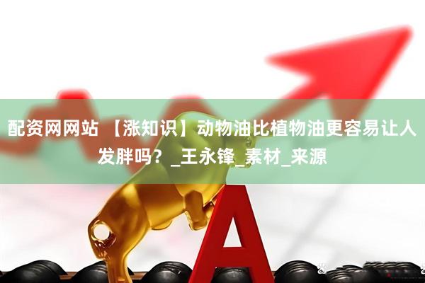 配资网网站 【涨知识】动物油比植物油更容易让人发胖吗？_王永锋_素材_来源