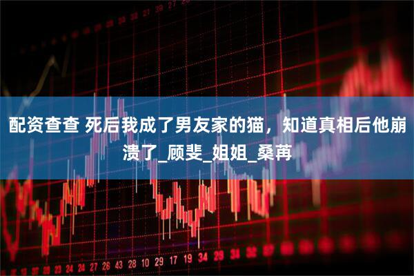 配资查查 死后我成了男友家的猫，知道真相后他崩溃了_顾斐_姐姐_桑苒
