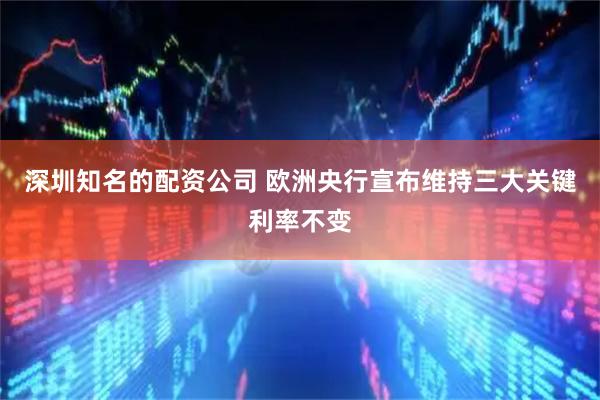 深圳知名的配资公司 欧洲央行宣布维持三大关键利率不变